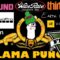 Llama Punch 5
